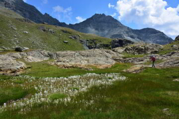 Il bel sentiero sotto i due Tournalin