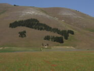 Faggeto Italia