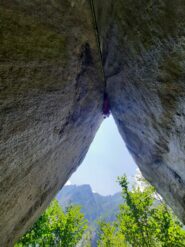 Valentina in apertura. Da questa prospettiva sono evidenti le ali...