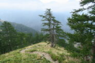 in salita al rifugio Cretes Seches lungo la scorciatoia