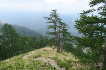 in salita al rifugio Cretes Seches lungo la scorciatoia