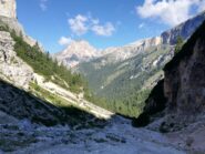 Stevia dalla testata della Vallunga.