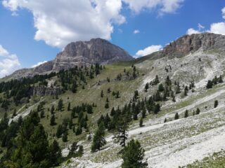 Sentiero 16: ambiente 