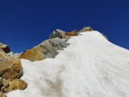 Quasi in cima al Castore, se zoomate si nota al centro un fringuello alpino (!), siamo a quasi 4200 m.......