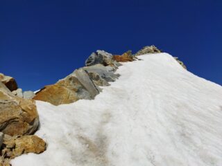 Quasi in cima al Castore, se zoomate si nota al centro un fringuello alpino (!), siamo a quasi 4200 m.......