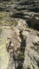 attacco via  cordone sbiadito