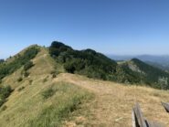 Pian del Curlo dove l'itinerario da Casereggio raggiunge il crinale prima della deviazione per il monte Buio