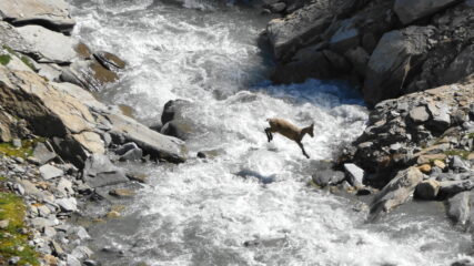 guado del fiume