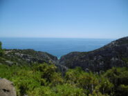 dalla strada cementata si vede Cala Fuili