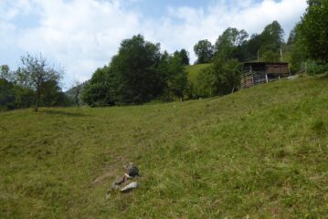 I primi prati in vista di Richiaglio