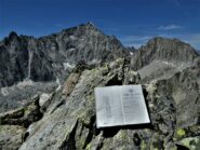 In cima: libro di vetta e Presanella.