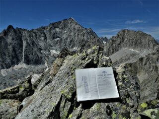 In cima: libro di vetta e Presanella.