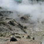 Sandro in uscita da L11