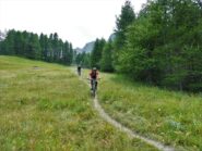 Via libera nel tratto del bosco...