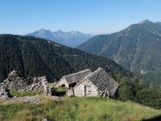 Ragozzo