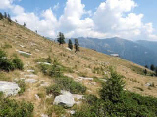 Verso l'Alpe Tenda, dove cominciamo a salire per raggiungere la cresta
