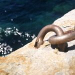 Corrosione di un chiodo in una sosta