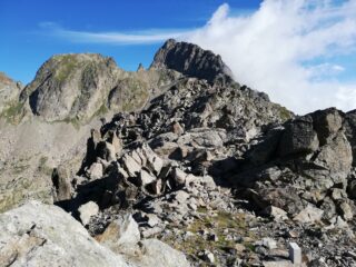 La cima dalla bocchetta Forno