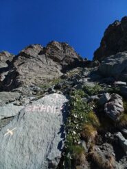 deviazione per il colle Luisaras