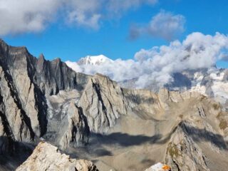 zoomata sul bianco