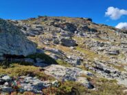 verso la dorsale