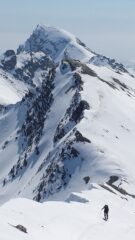 Quasi in arrivo