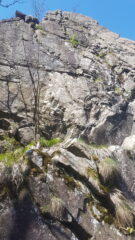 La placca fessurata di L1.