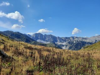 Marguareis dal colletto Pellerina