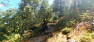 Tratti tecnici nel bosco