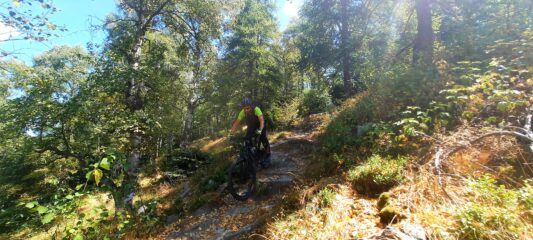 Tratti tecnici nel bosco