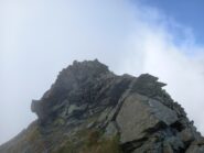 Cima