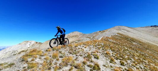 Verso col Albert