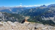 Conca di Bardonecchia dalla Guglia Rossa