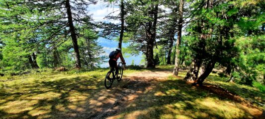 Sulla cresta de Martinat