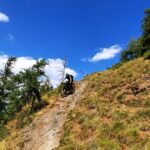 Breve tratto tecnico