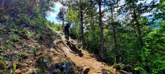 Gran finale sotto Barbein