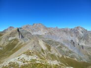 Panorama sui giganti
