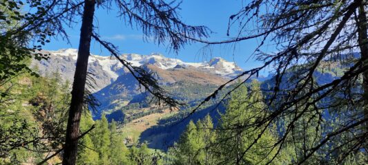 Salendo vista costante sul gruppo del Rosa
