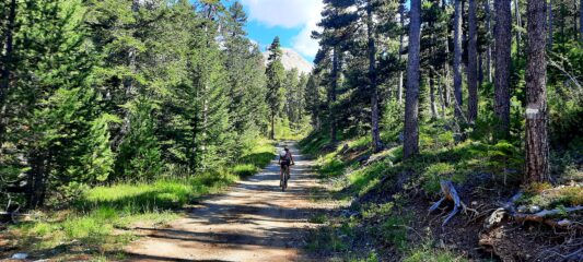 Il lungo traverso nel Bois du Lauzet
