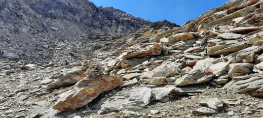 Bolli utillissimi nell'immensa pietraia