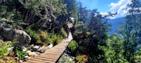 Single track molto divertente