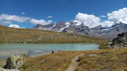 Cartolina