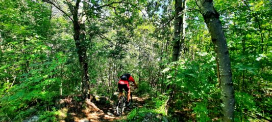 Mulattiera verso Roviera