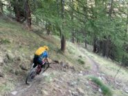 Flow nel bosco