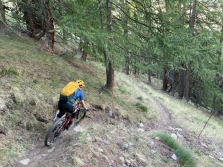 Flow nel bosco