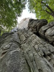 Torrione M- Gnocchetti sardi con pecorino