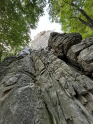 Torrione M- Gnocchetti sardi con pecorino