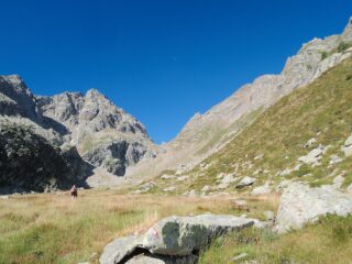 Cima della Freghera e Bocchetta del Gallo, salendo da Frua