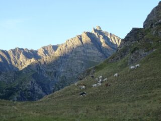 alla partenza presso il ricovero C.A.