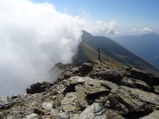 guarda come salgono...